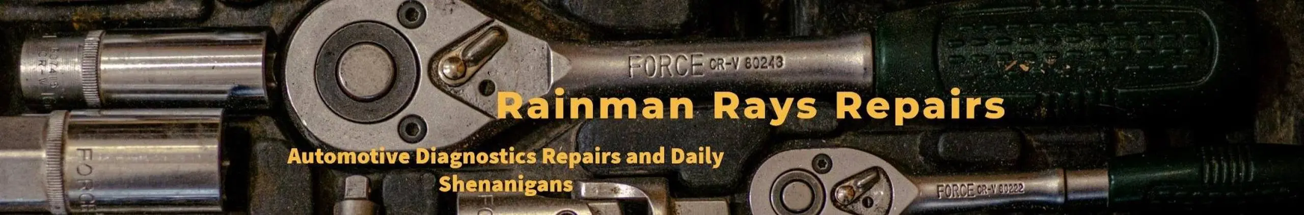 Rainman Ray S Repairs