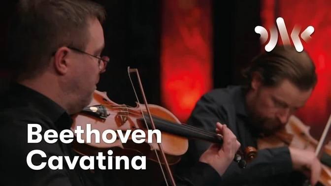 Beethoven String Quartet No 13 Op 130 V Cavatina Adagio Molto