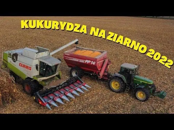 Kukurydza Na Ziarno 2022 CLAAS LEXION 460