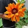 HA CRAFT