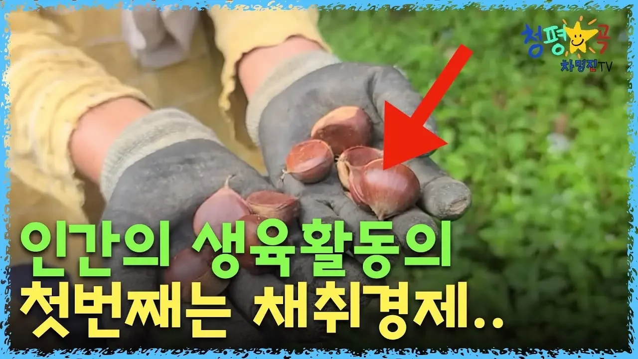 인간의 생육활동의 첫번째는 채취경제, 밤 줍기, 밭 관리하기