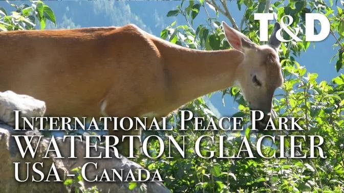Waterton-Glacier International Peace Park Video Guide - Travel & Discover