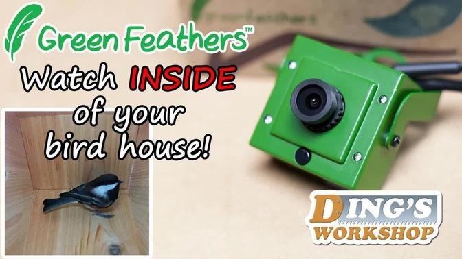 Watch What's Happening Inside My Birdhouse! | Green Feathers WiFi Bird Box Camera