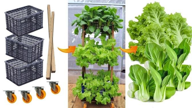 [No garden] Growing vegetables with recycled plastic baskets - Multi-storey vegetable tower