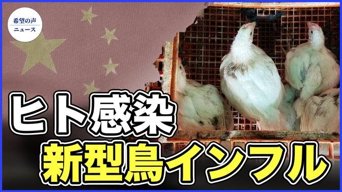 中国でH10N5型鳥インフル感染者が死亡　世界初【希望の声ニュース-2024/02/04】