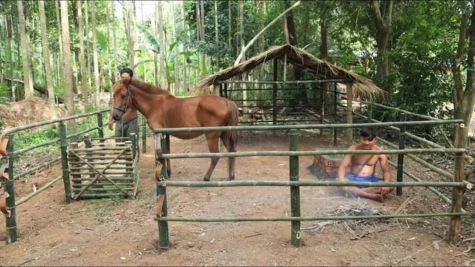 Build Hut for horse - House horse