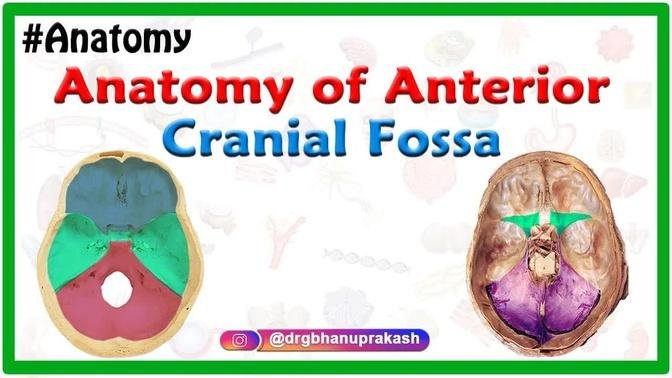 Anatomy of Anterior cranial Fossa