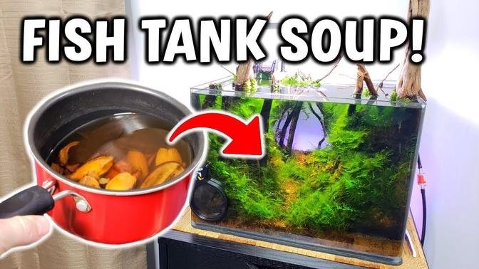 I Made FISH TANK SOUP... (here's why)