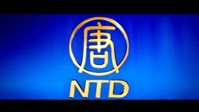 NTD Audience Review