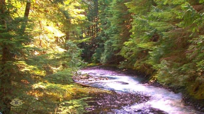 4 Minute Nature Sounds Video _ Relaxing Nature Sounds _ Forest Creek With Chirping Birds 4K Ultra HD