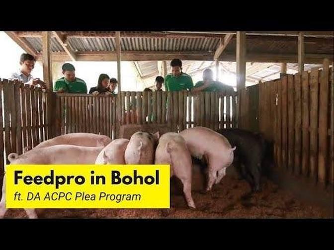 Feedpro in Bohol DA ACPC PLEA Program Through FCB. Foundation Inc