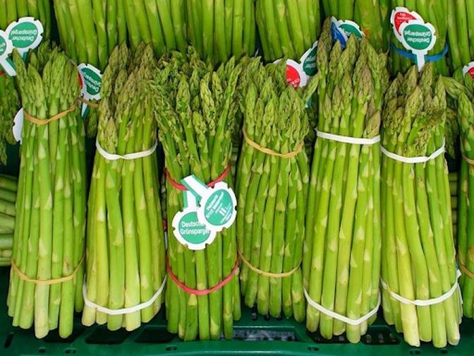Unlocking the Health Benefits: Exploring the Uses of Asparagus Shatavari in Ayurvedic Products