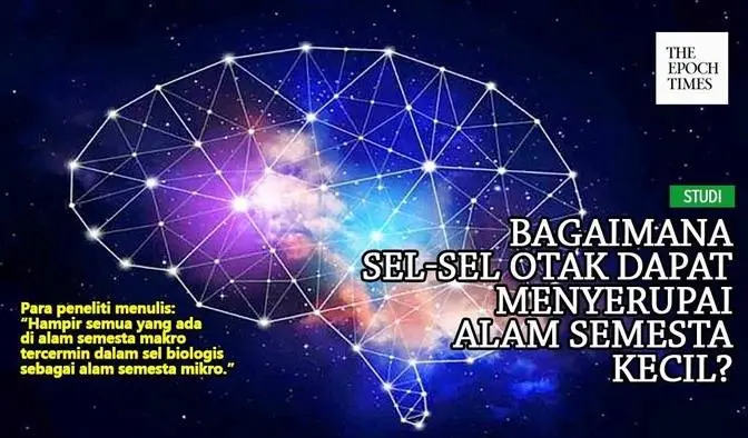 Bagaimana Sel-Sel Otak dapat Menyerupai Alam Semesta Kecil?