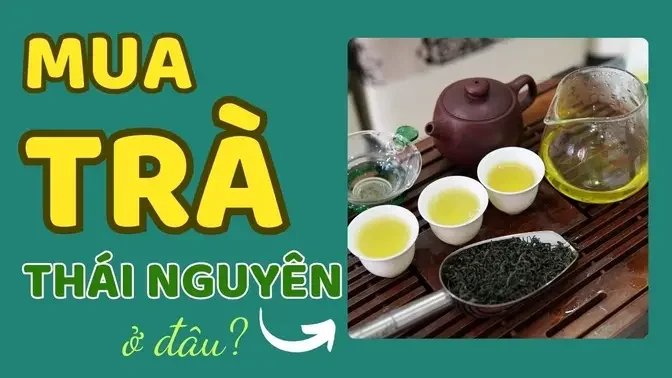 Mua Trà Thái Nguyên Ngon Ở Đâu - Trang Web Trà Tâm Xuân #trathainguyen #tratancuong #thainguyentea