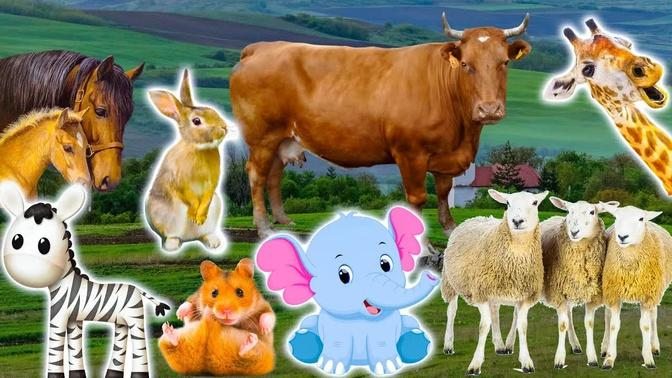 Cute little animals： cat, chick, dog, cow, monkey - real animal sounds