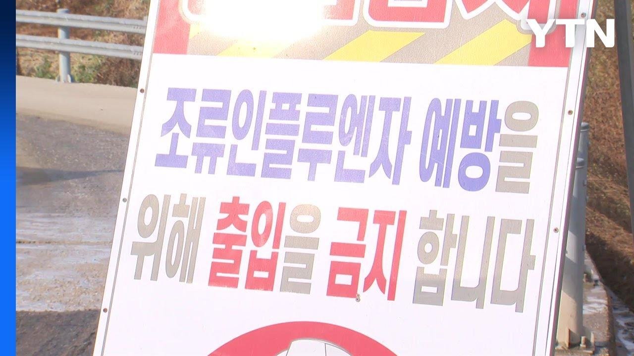 전북 김제 산란계 농장 AI 항원 검출..."닭·오리농장 일시 이동중지" / YTN