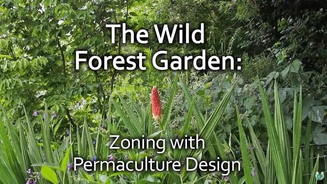 The Wild Forest Garden – zoning with permaculture design
