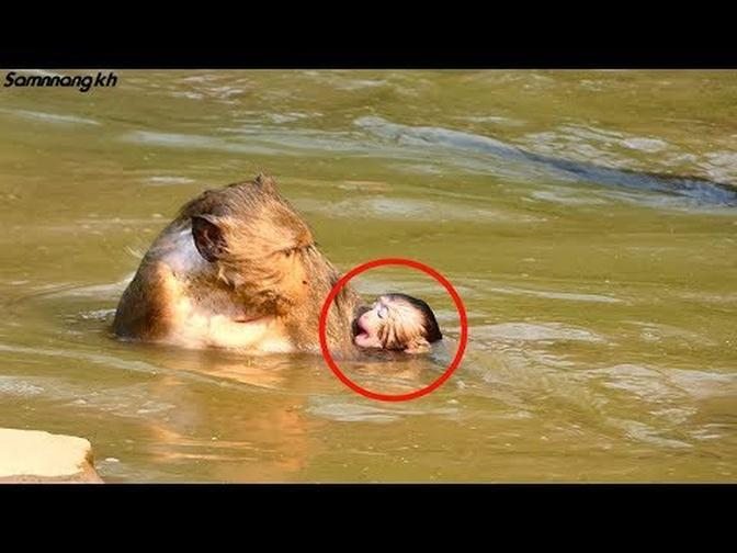 Pity newborn baby Donny nearly​ drown, Why young mother Danna do like this? Samnnang kh