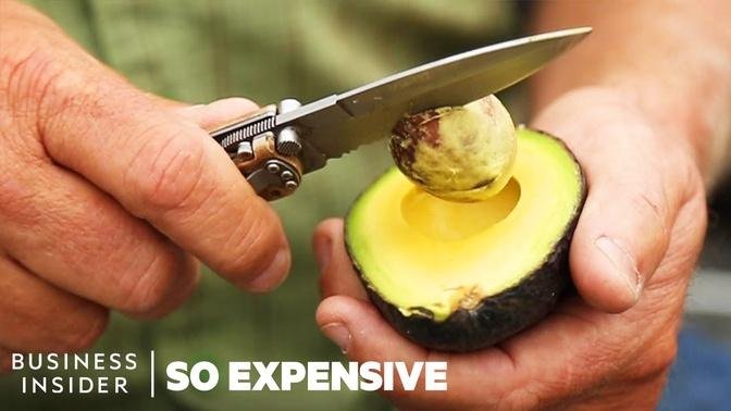 Why Avocados Are So Expensive _ So Expensive