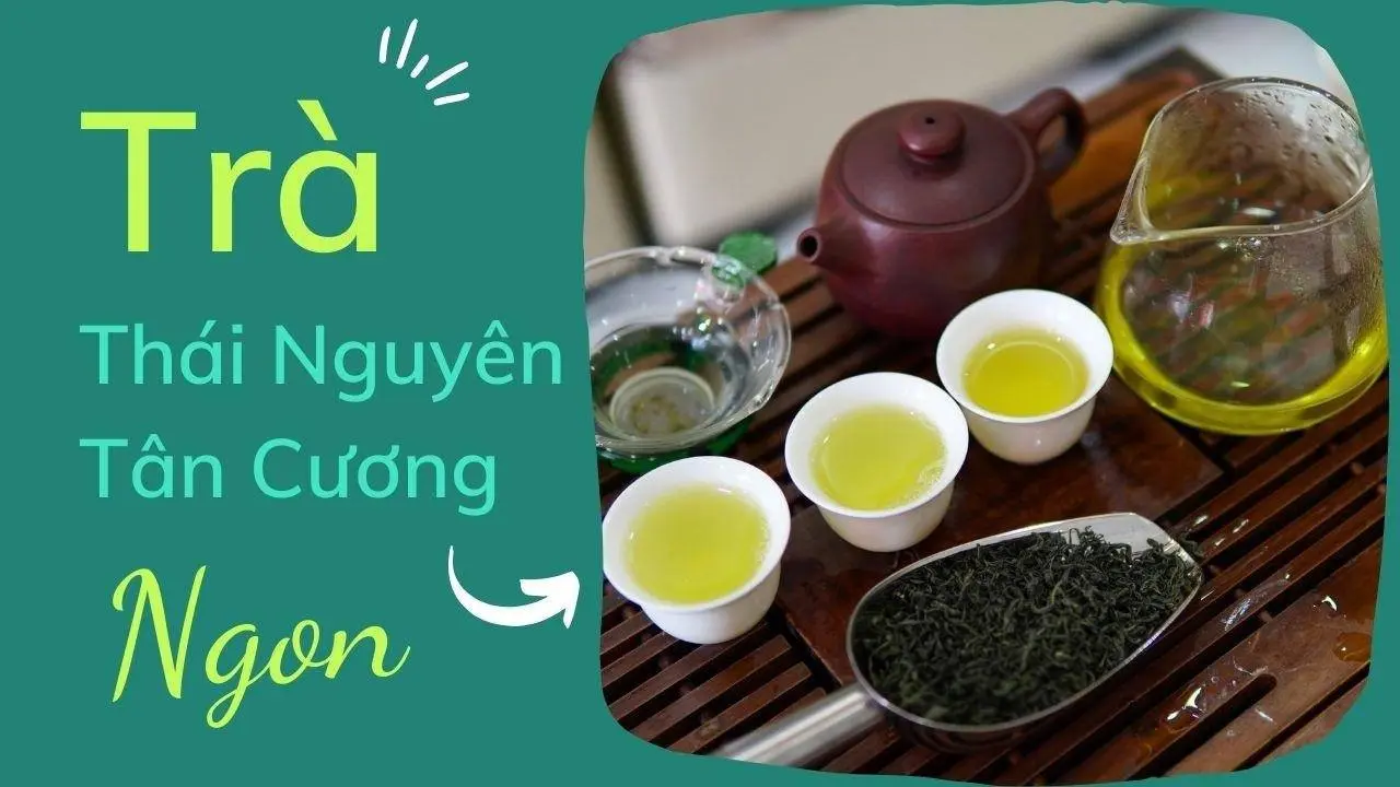 Cách Pha Trà Thái Nguyên Tân Cương Ngon #trathainguyen #tratancuong #thainguyentea
