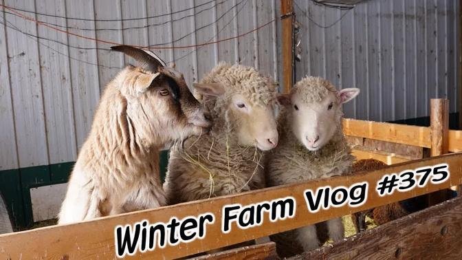 Getting Ready for Spring on the Farm - Vlog #375