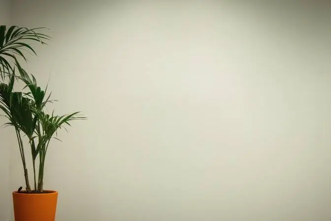 Test Trim cut &lt; 5minutes