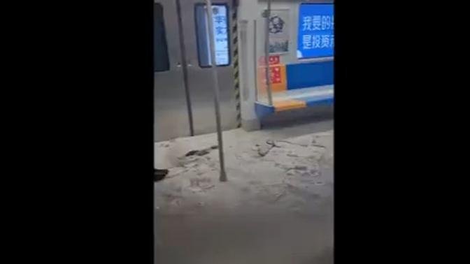 2023年5月29日，北京地鐵7號線雙井站13車廂內一女子攜帶的充電寶突然發生爆炸。