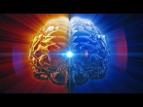 科學家發現 人腦中存在「多維宇宙」！