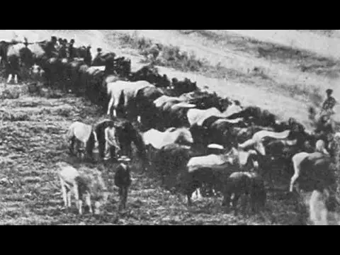 Animated Time-Lapse Photos of Union Cavalry of Grierson's Raid in Baton Rouge, Louisiana, 1863