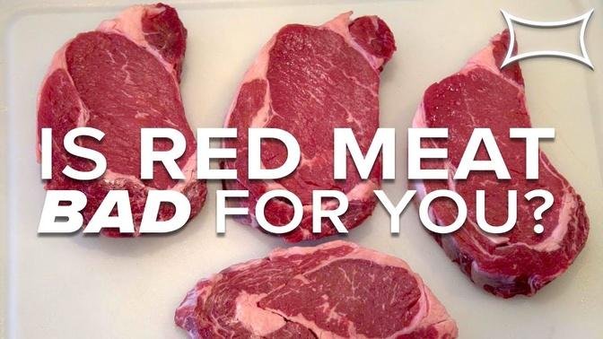 Is RED MEAT Bad For You_ _ Stan Efferding & Damon McCune Talk Beef ...