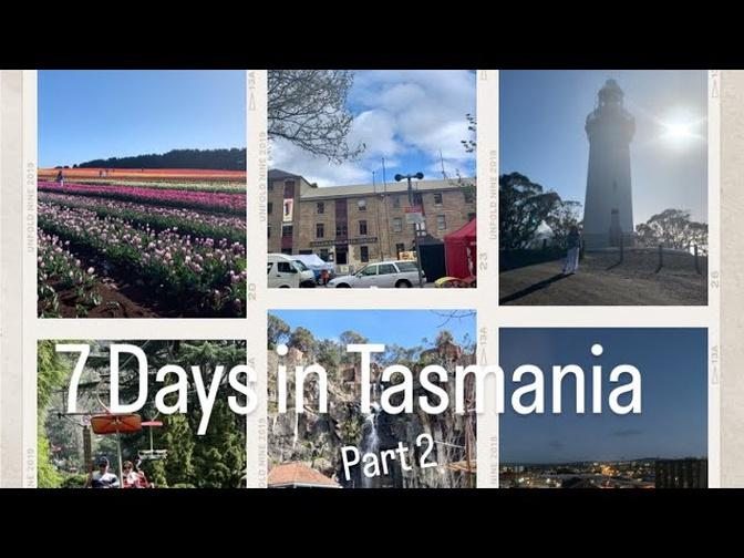 7 Days in Tasmania |Part 2|Launceston |Bicheno|The Gorge |Hobart|Salamanca Market |The Hastings Cav