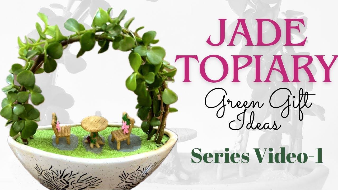 Jade plant topiary ideas||Green Gift Ideas (Video-1)||Budget friendly gift for plant lovers||Topiary