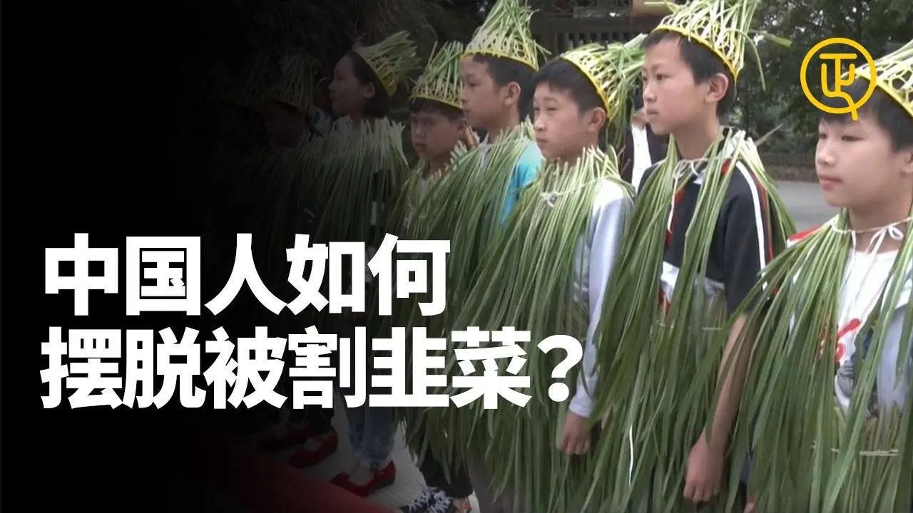  中国人摆脱被割“韭菜”的秘诀