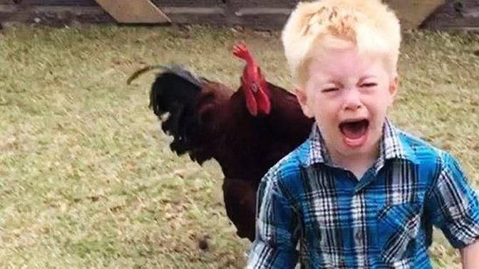 Funny Chickens Chasing Troll Babies and Kids|| Funny Baby And Pet