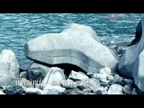 豐富的海洋資源，多元的生物樣貌，是臺灣最珍貴的自然資產，但它正逐漸消失~~人文生活行動力系列_消失的海岸 20170414