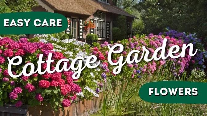 7 Easy to Care Flowers for Cottage Garden 🌼🌸✨
