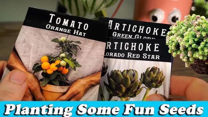 Starting Some Fun Seeds || Tiny Tomato || Kirigami Oregano || Artichokes