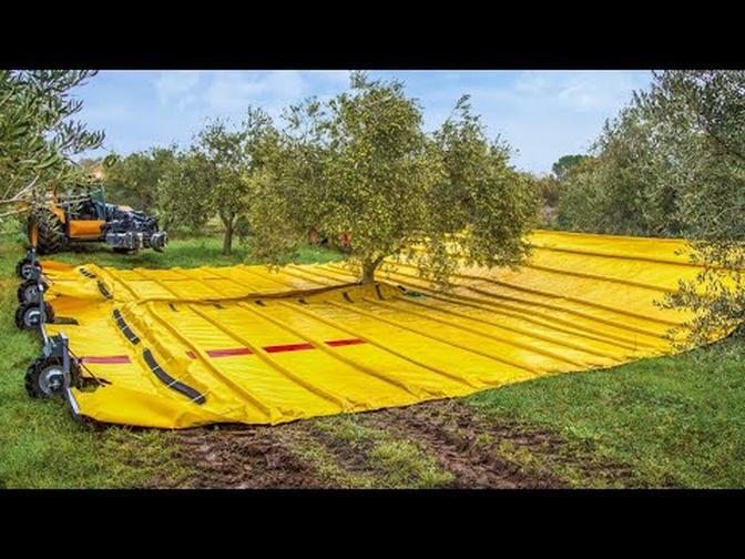 Modern Agriculture Machines: Ingenious Harvesting Technology
