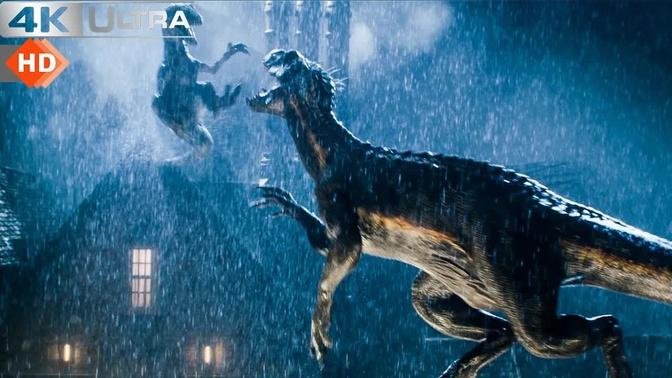 Jurassic World 2 - Indoraptor Vs Blue 4k