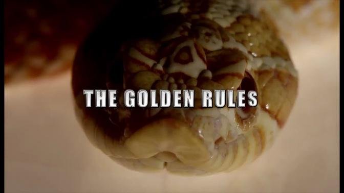 The Golden Rules of Animal Husbandry (Weird and Wonderful Pets Episode 1 of 15)