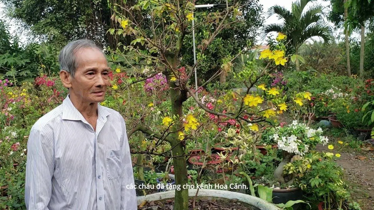 Kênh Hoa Cảnh chúc mừng năm mới Tân Sửu 2021