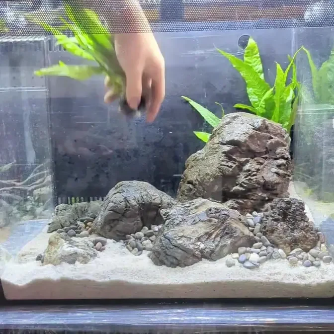 Setting up a easy maintenance aquarium for our customer Fluval Flex 57L