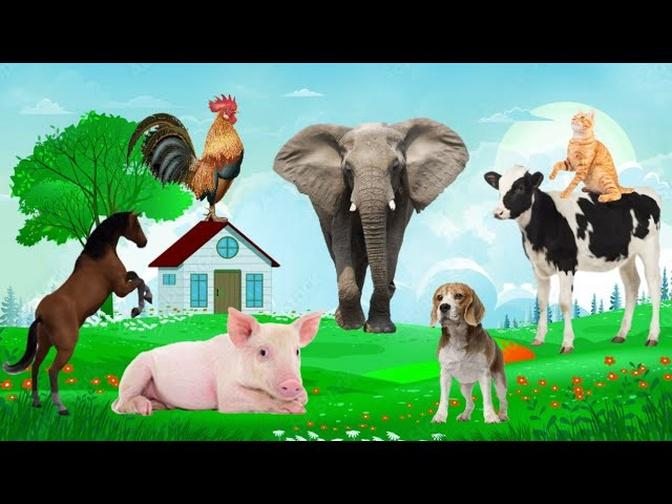 ami4 liar Animals Around Us, Cow, Duck, Chicken, Cat, Elephant, Dog, Pig, Familiar Animal Sounds.