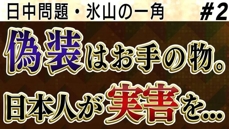 ②≪日中問題・氷山の一角≫カード偽装なんてお手の物。このままでは日本人が実害を受けることに...【怒っていいとも】