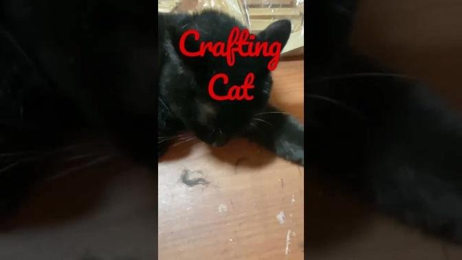 Crafting Cat