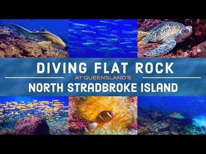 Scuba Diving at Flat Rock NORTH STRADBROKE epic visibility