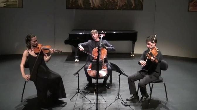 The Trio Miroir plays Schubert String trio B-flat major D 471
