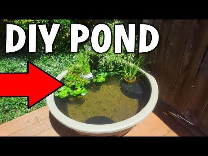 Cheap DIY BACKYARD MINI Pond!