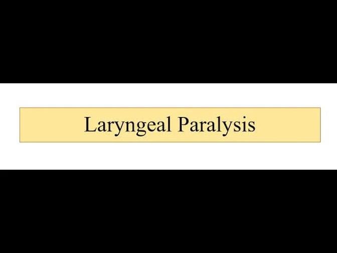 Laryngeal Paralysis
