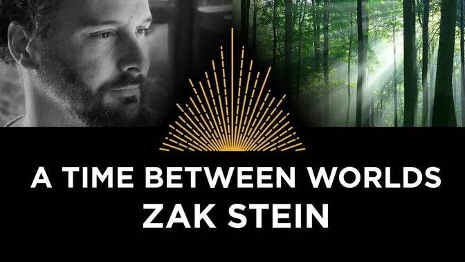 A Time Between Worlds, Zak Stein